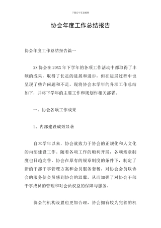 协会年度工作总结报告