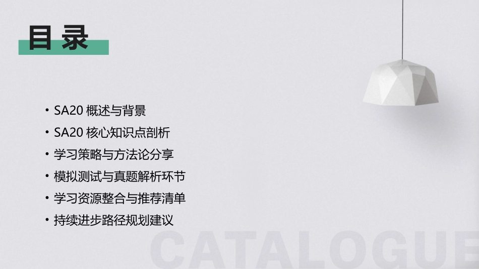专业级教程：2024年SA20培训详解_第2页
