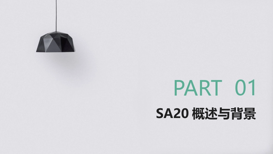 专业级教程：2024年SA20培训详解_第3页