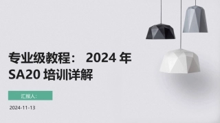 专业级教程：2024年SA20培训详解