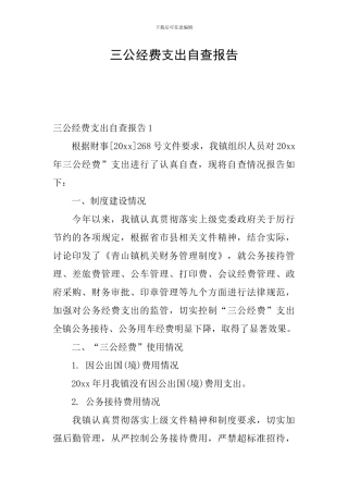 三公经费支出自查报告