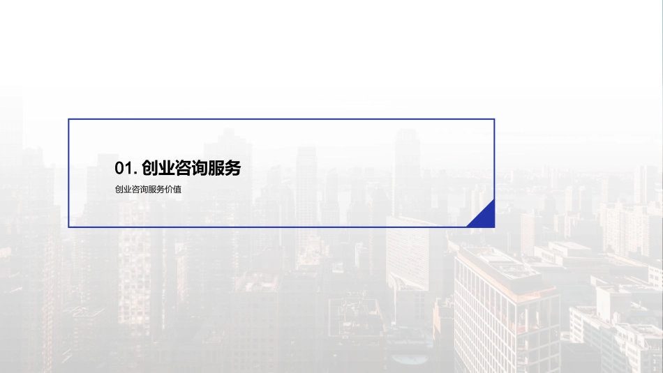 咨询行业创业计划书-创业者的成功之路_第3页
