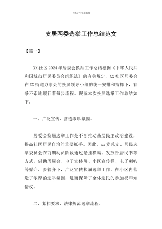 支居两委选举工作总结范文