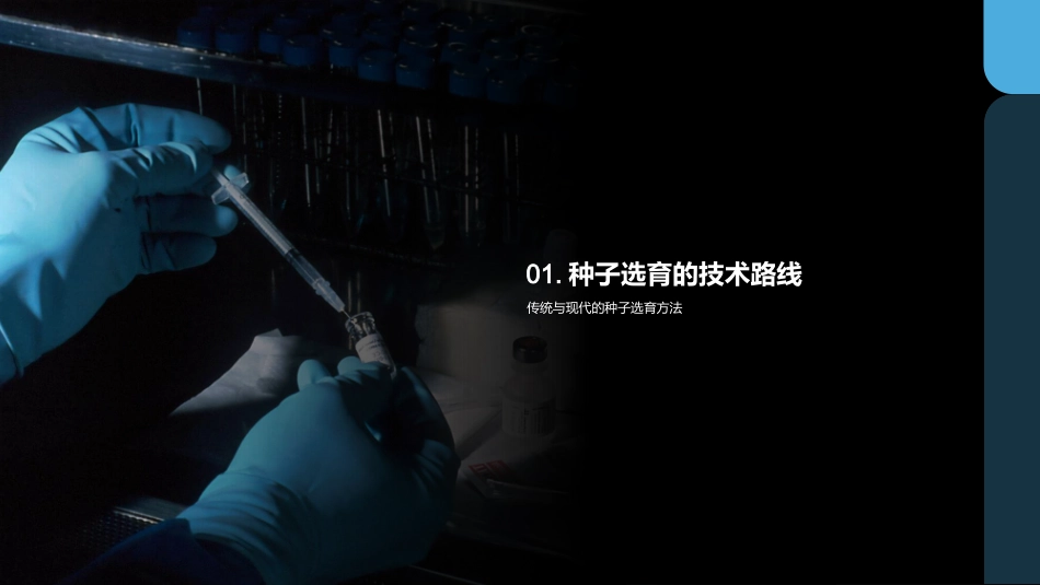 种子选育：未来农业-探索新农业的关键技术_第3页