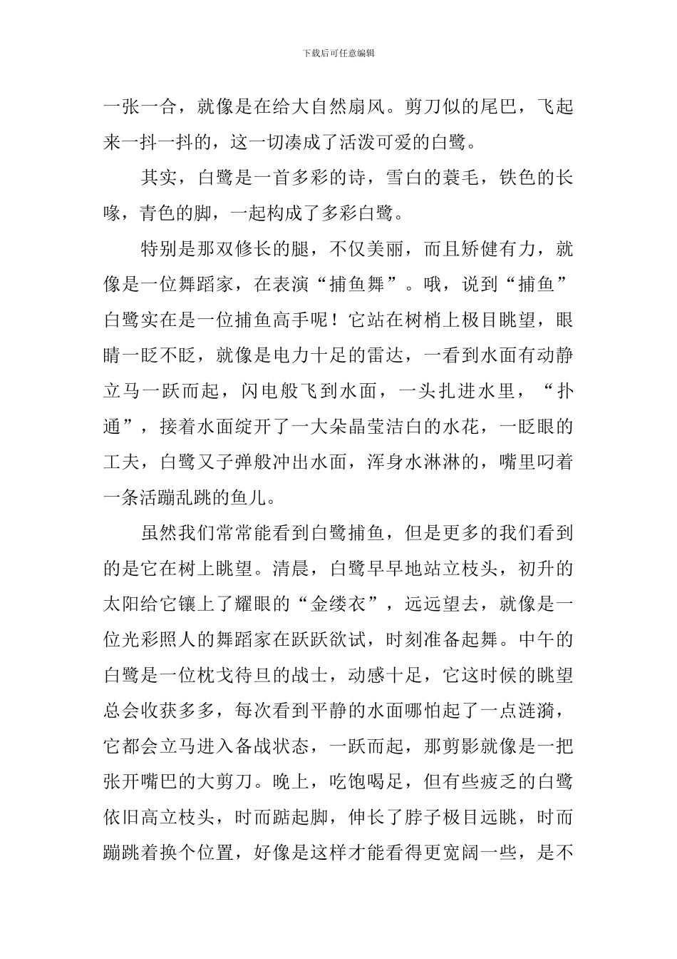 五年级白鹭改写说明文5篇_第3页