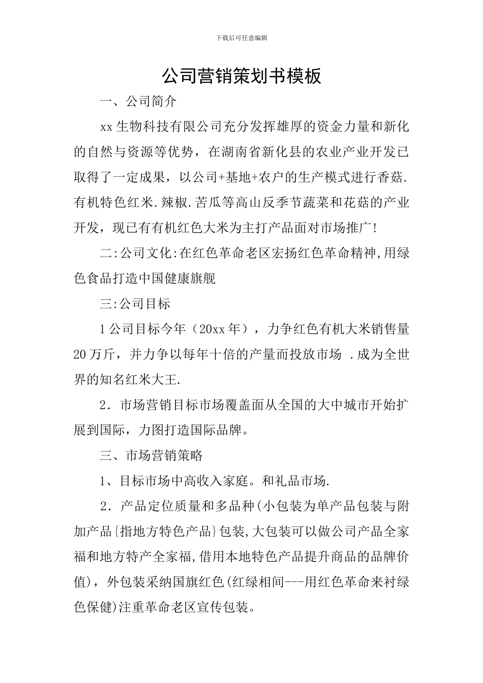 公司营销策划书模板_第1页