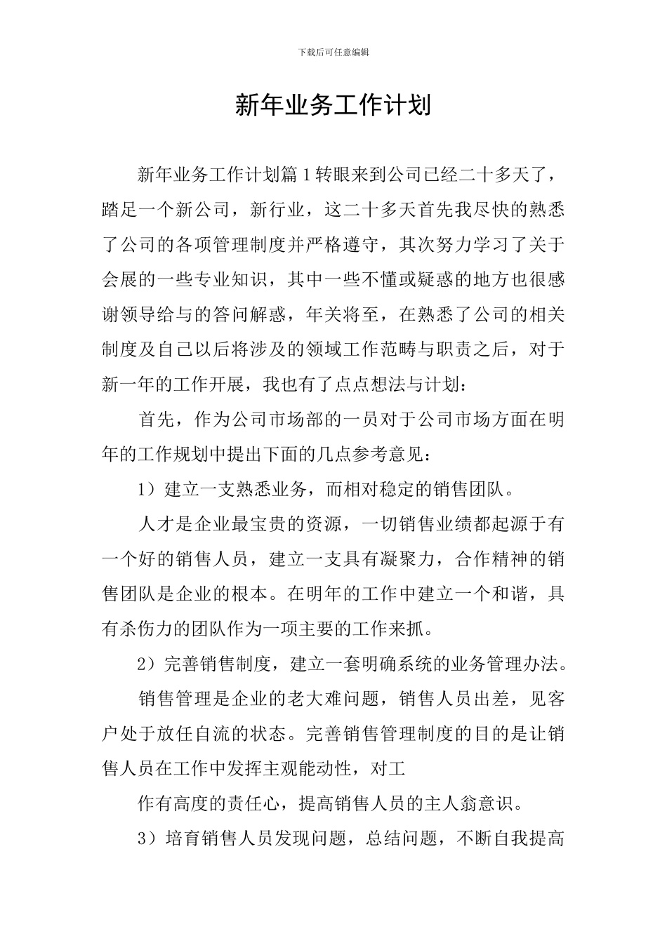 新年业务工作计划_第1页