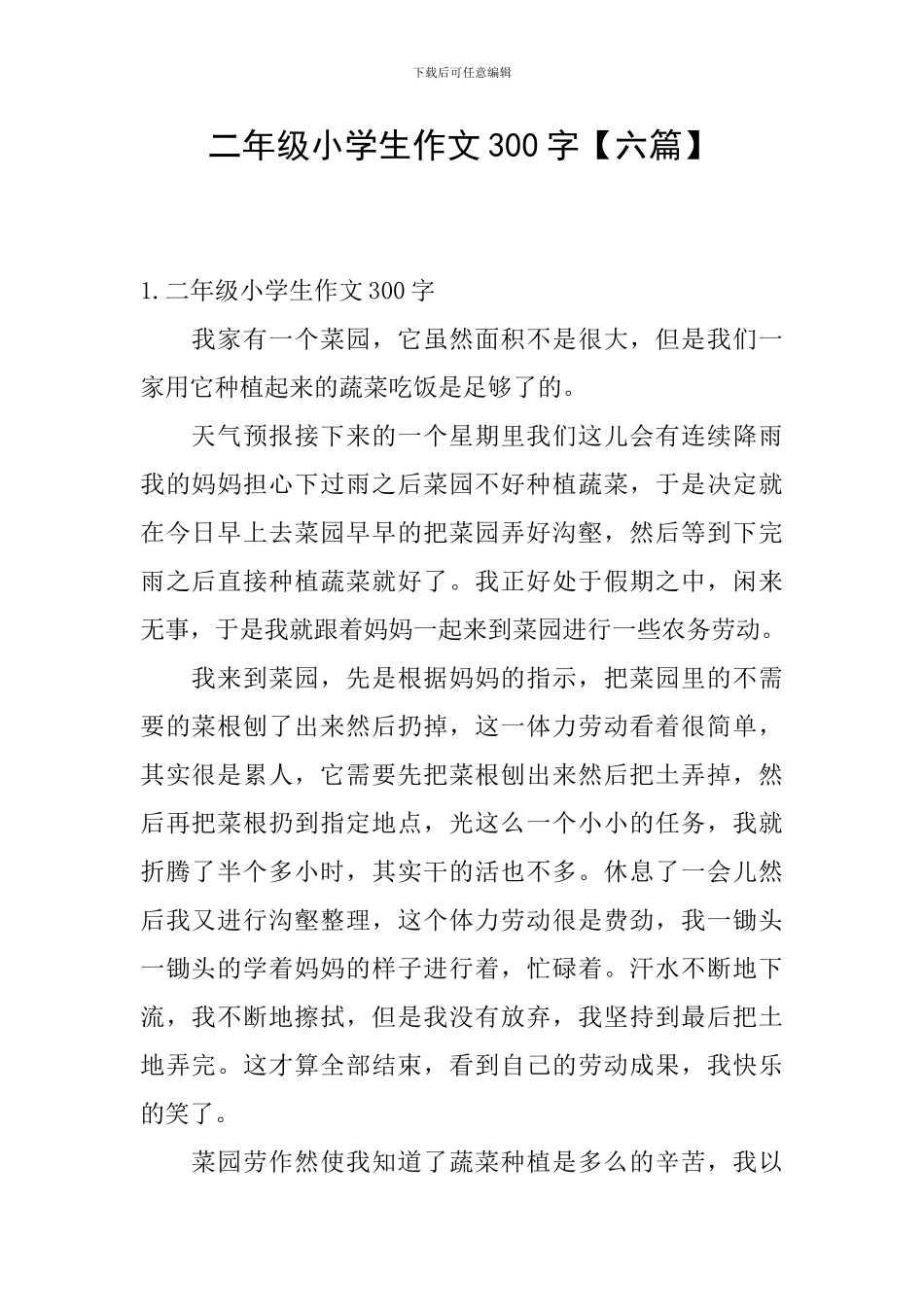 二年级小学生作文300字_第1页