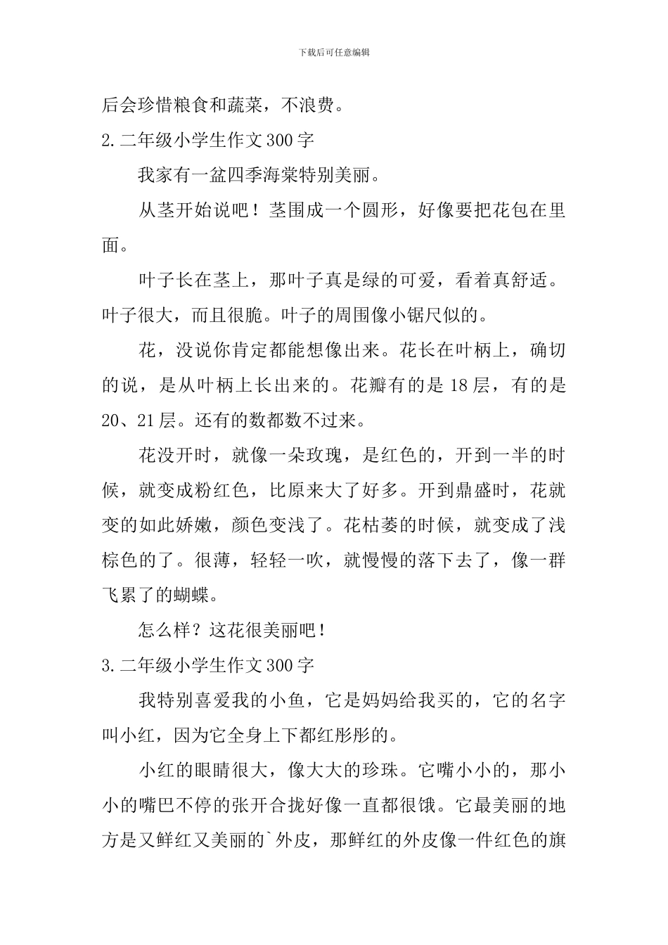 二年级小学生作文300字_第2页