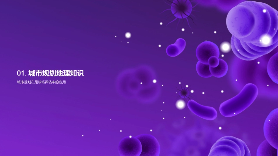 足球场地择址分析-城市规划师的视角_第3页