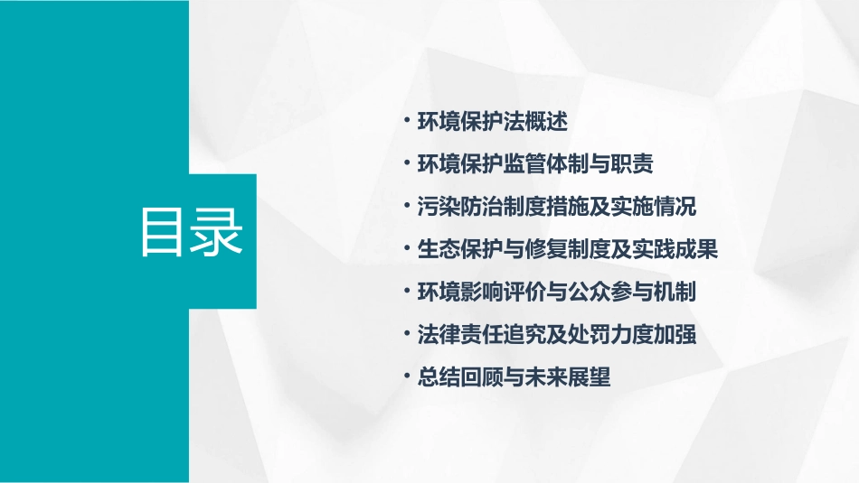 中华人民共和国环境保护法(全_第2页