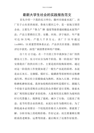 最新大学生社会的实践报告范文