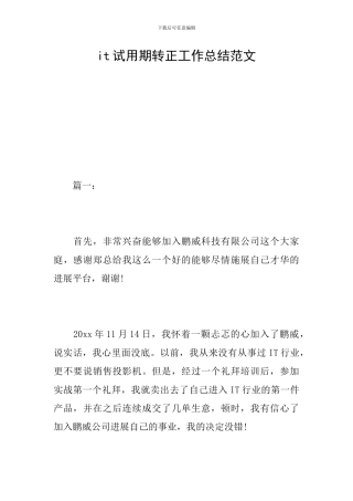 it试用期转正工作总结范文