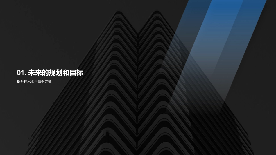 足球路上，无尽荣耀-20XX年职业生涯回顾与展望_第3页