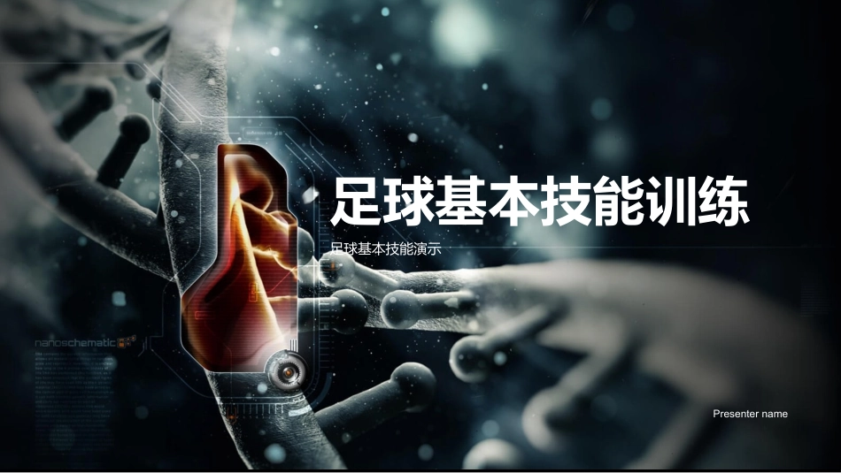 足球基本技能训练-足球基本技能演示_第1页