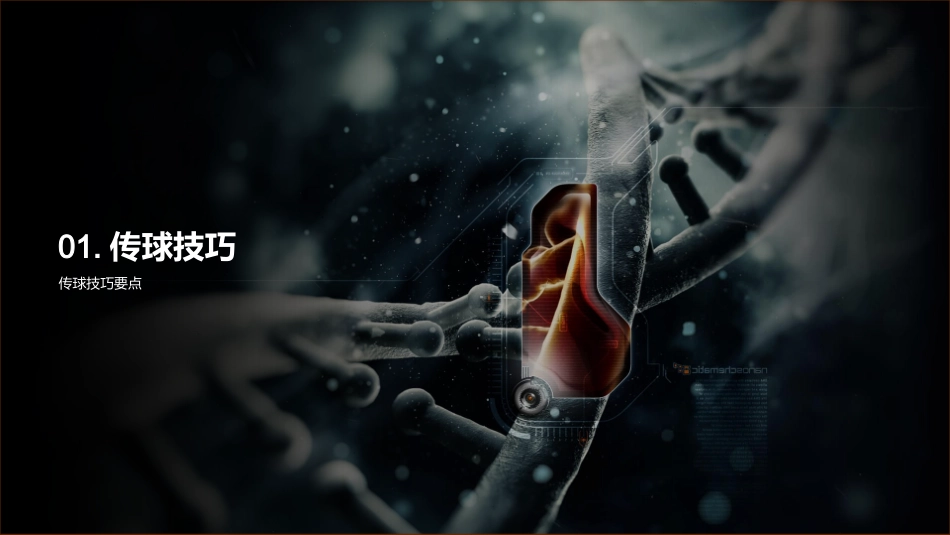 足球基本技能训练-足球基本技能演示_第3页