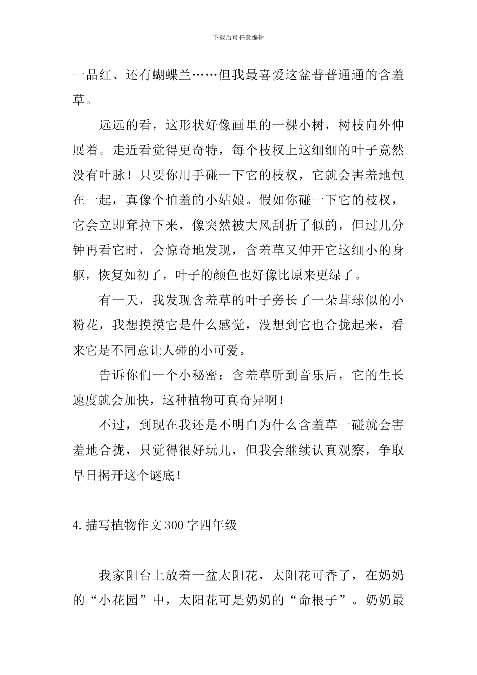 描写植物作文300字四年级_第3页