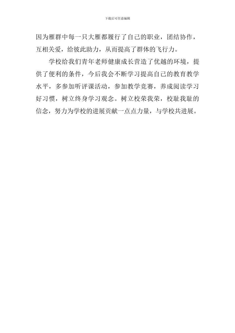 青年教师研讨活动与团队拓展会议发言稿_第2页