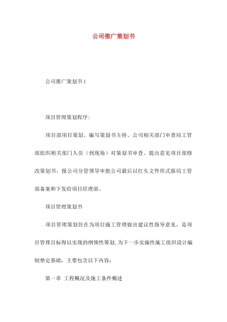 公司推广策划书