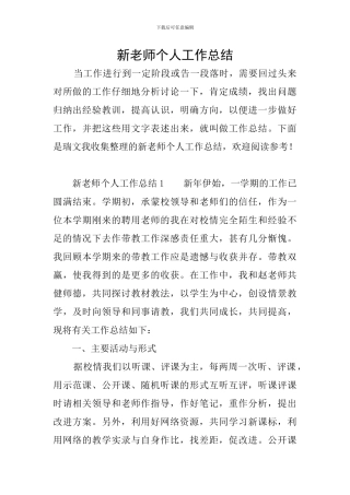 新教师个人工作总结