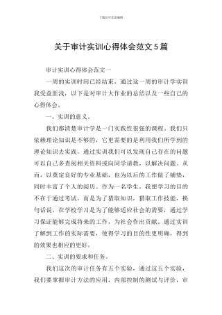 关于审计实训心得体会范文5篇