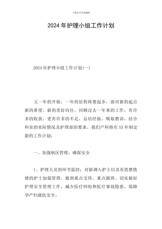 2024年护理小组工作计划