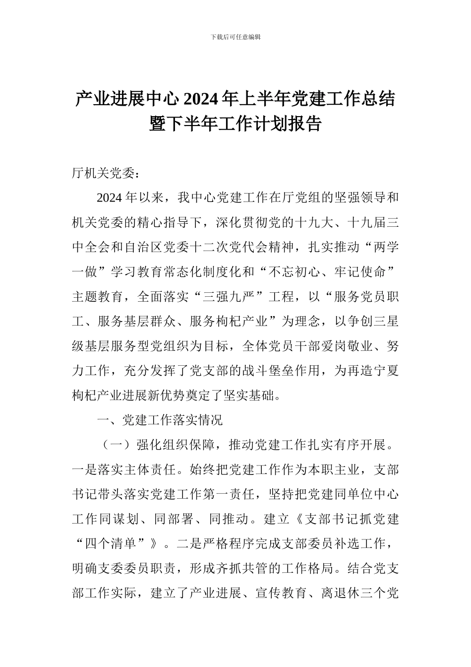 产业发展中心2024年上半年党建工作总结暨下半年工作计划报告_第1页