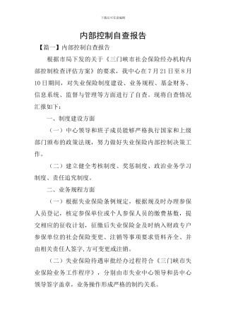 内部控制自查报告