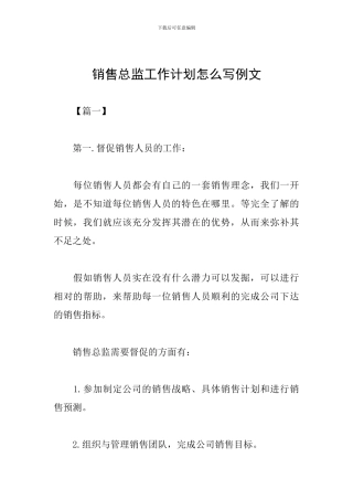 销售总监工作计划怎么写例文