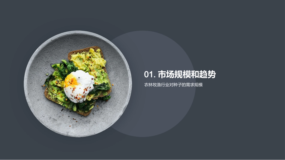 种子行业展望与挑战-开启农林牧渔新时代_第3页