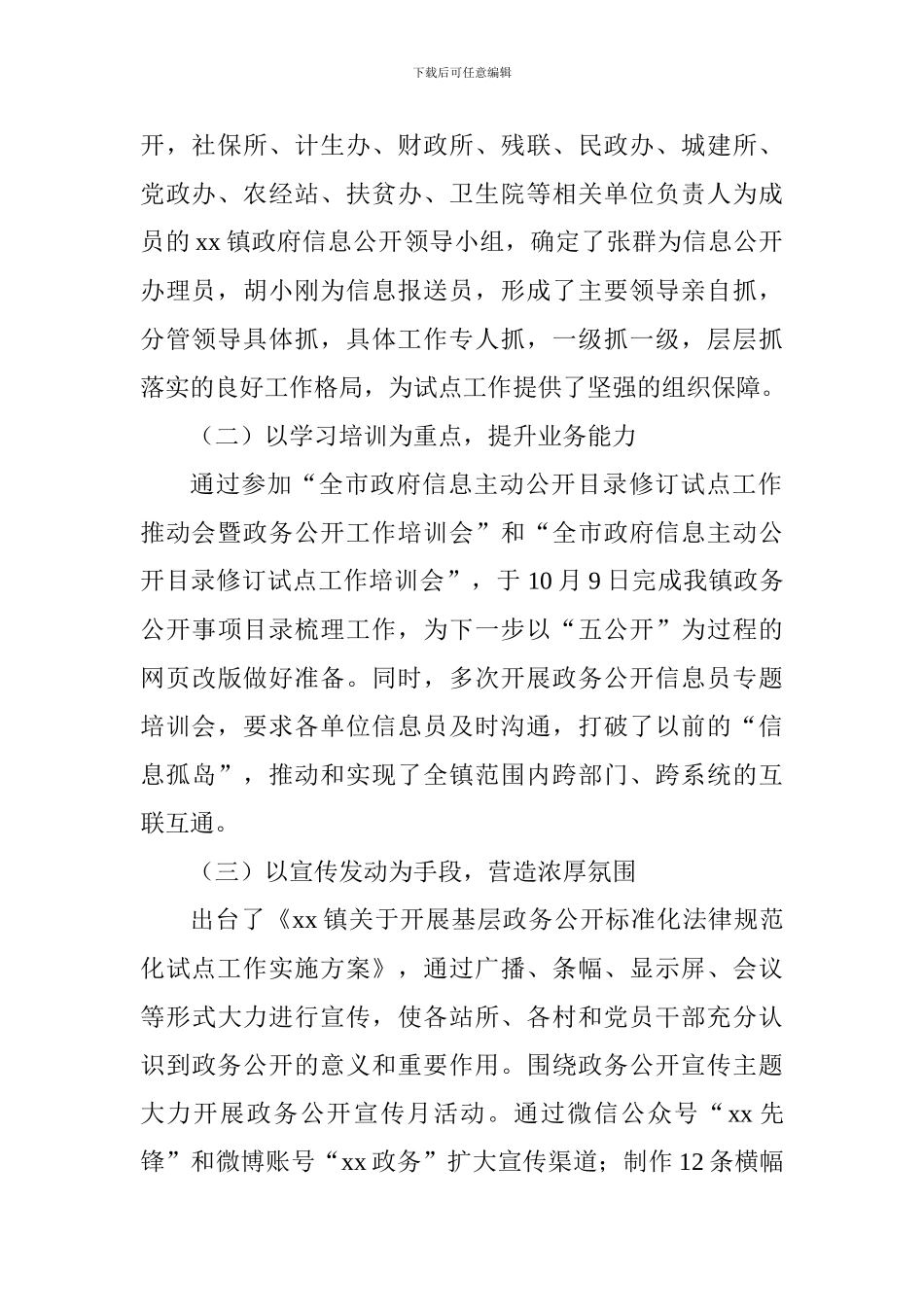 2024年度政务公开标准化规范化试点工作总结_第2页