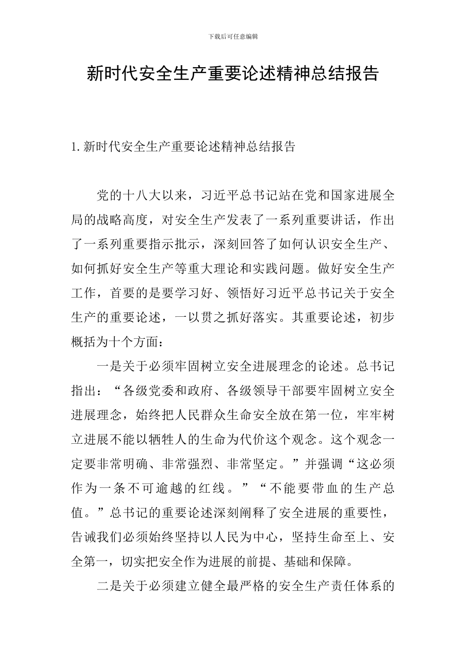 新时代安全生产重要论述精神总结报告_第1页