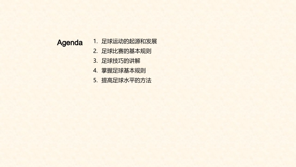 足球：技艺与策略-从入门到精通的全面指南_第2页