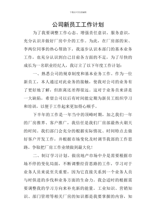 公司新员工工作计划