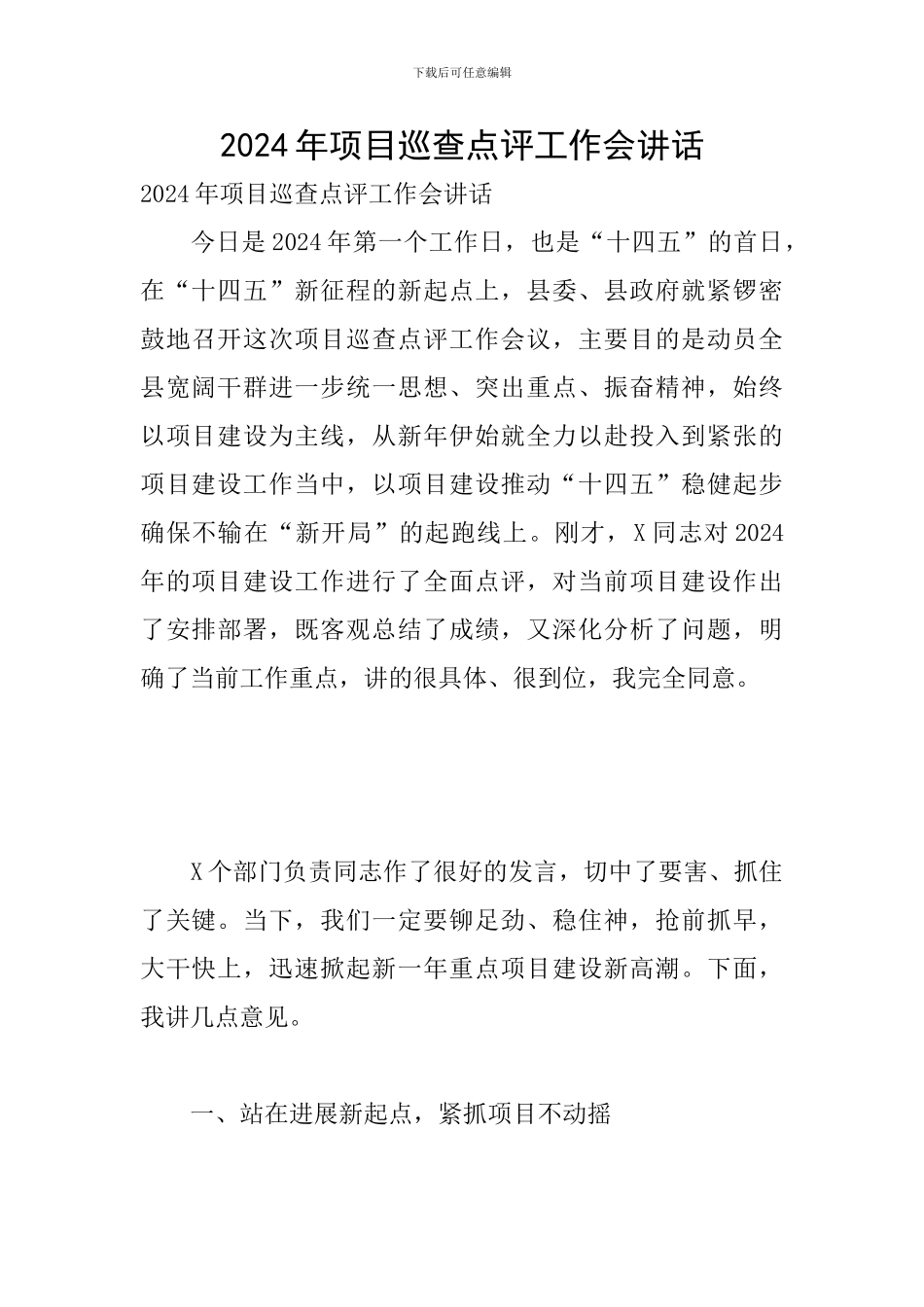 2024年项目巡查点评工作会讲话_第1页
