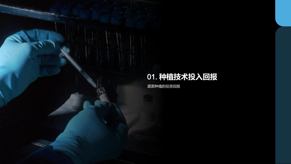 智能蔬菜种植技术-提高产量品质与效益_第3页