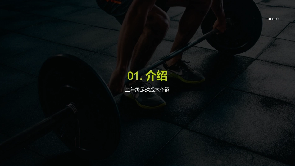 足球战术致胜法-提升比赛水平与团队合作_第3页