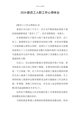 2024新员工入职工作心得体会