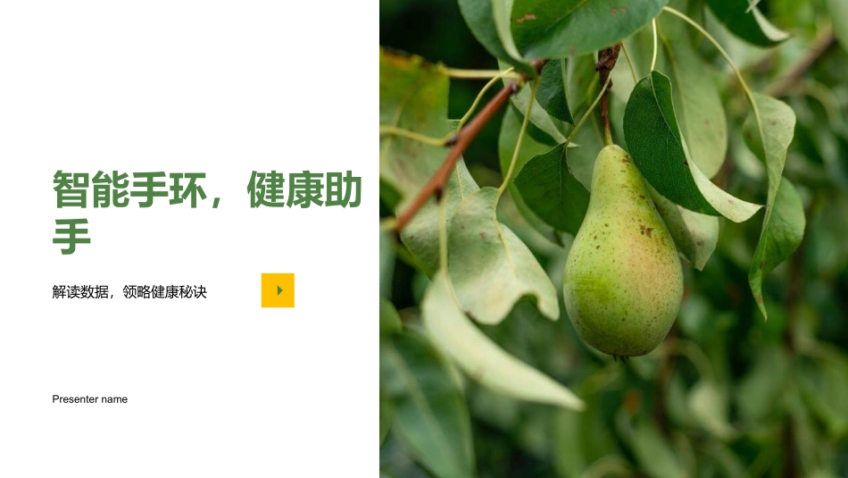 智能手环，健康助手-解读数据，领略健康秘诀_第1页