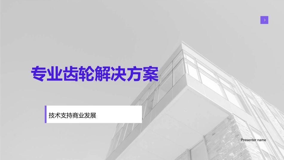 专业齿轮解决方案-技术支持商业发展_第1页