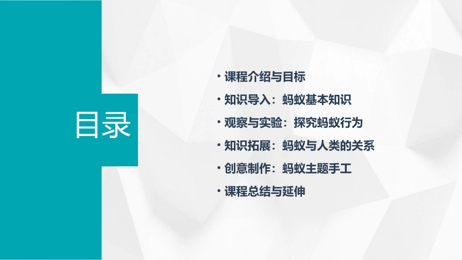 中班科学小蚂蚁教案_第2页