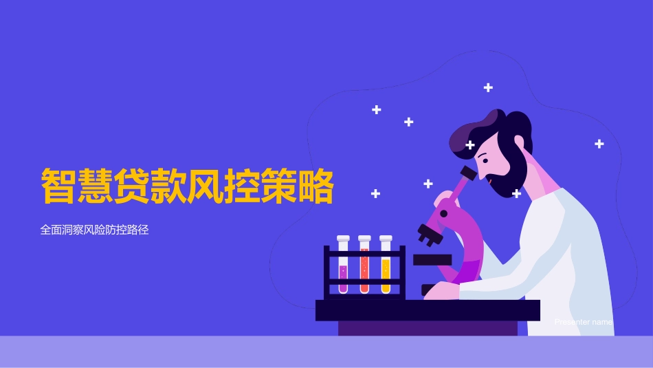 智慧贷款风控策略-全面洞察风险防控路径_第1页