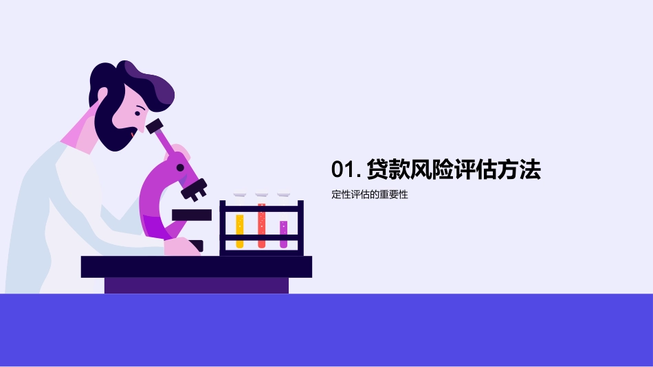 智慧贷款风控策略-全面洞察风险防控路径_第3页