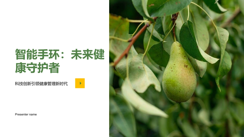 智能手环：未来健康守护者-科技创新引领健康管理新时代_第1页