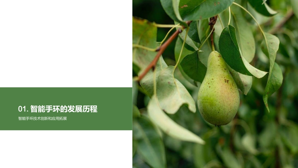 智能手环：未来健康守护者-科技创新引领健康管理新时代_第3页