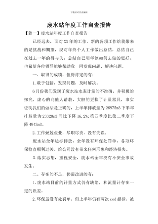 废水站年度工作自查报告