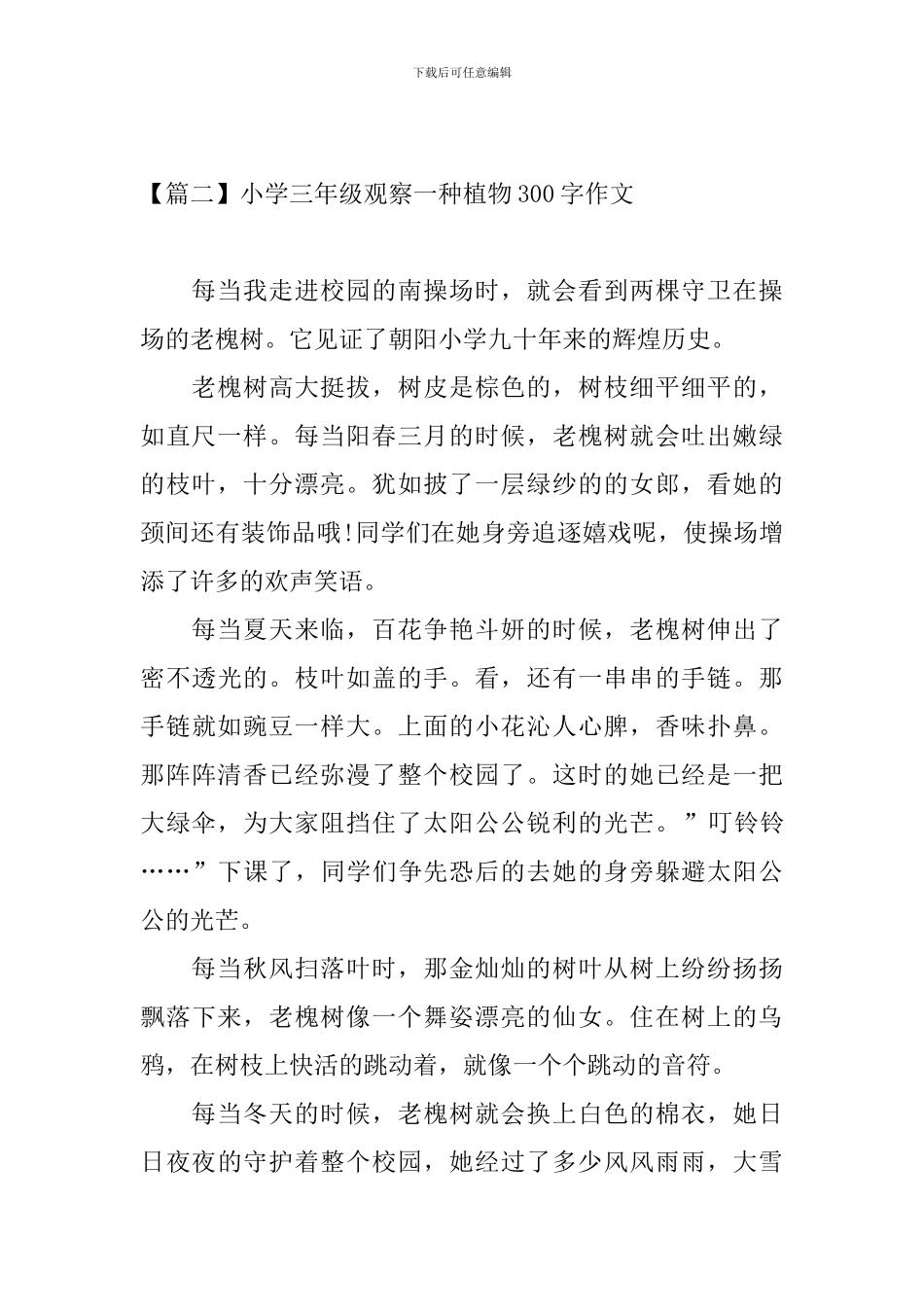 小学三年级观察一种植物300字作文_第2页