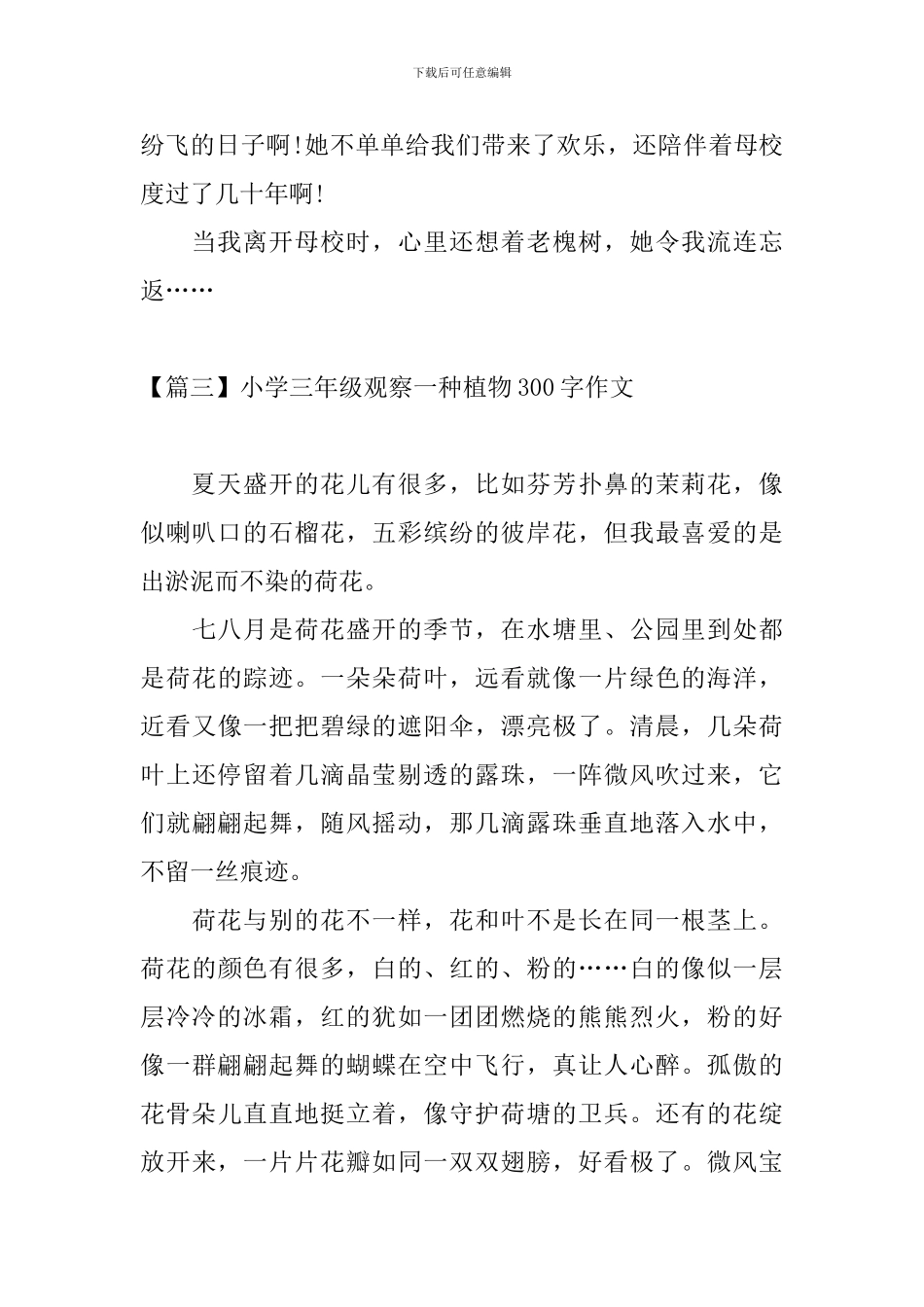 小学三年级观察一种植物300字作文_第3页