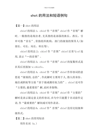 shot的用法和短语例句