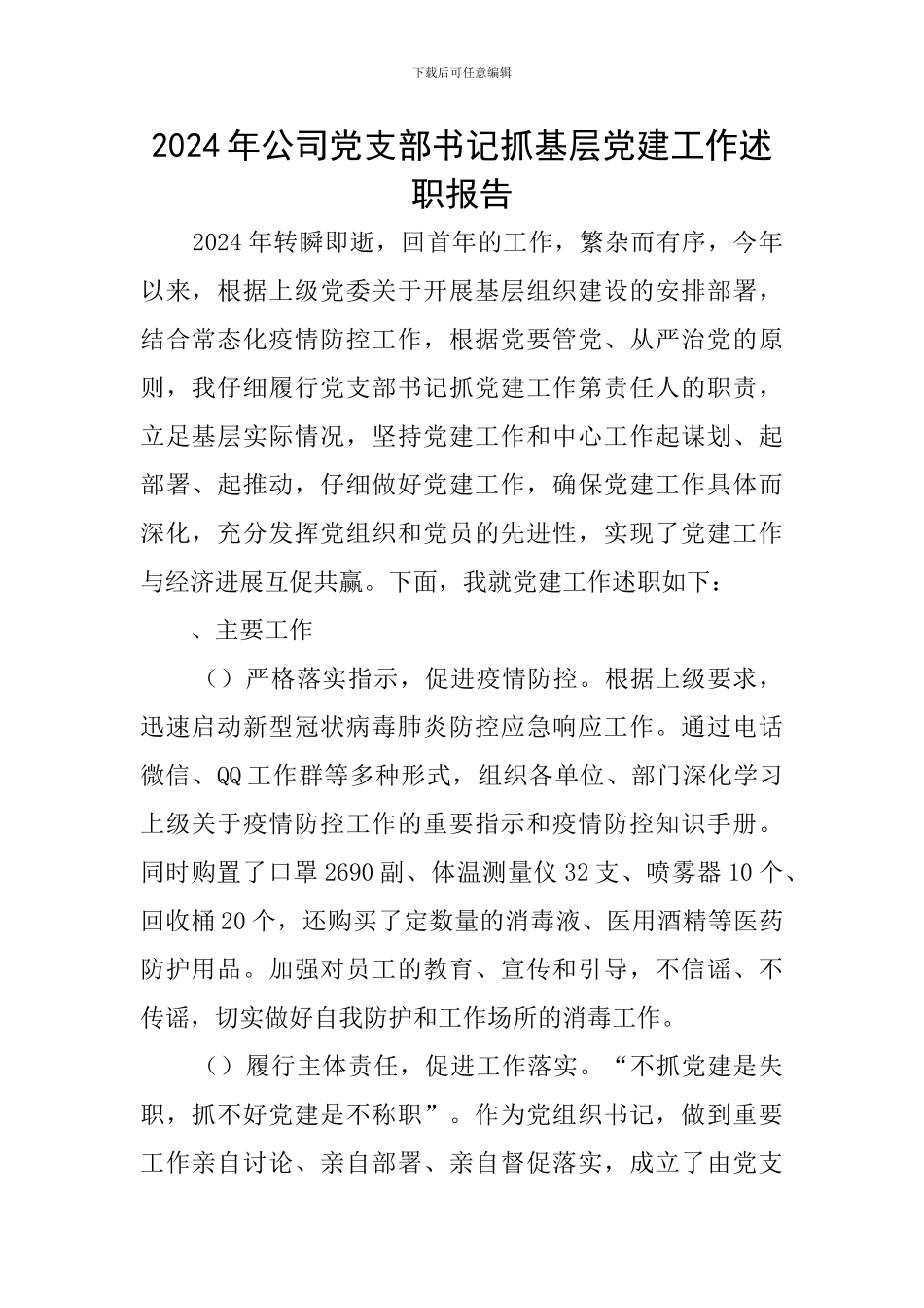 2024年公司党支部书记抓基层党建工作述职报告_第1页